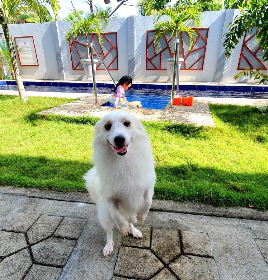 Sapphire Boutique Resort 팡라오 외부 사진